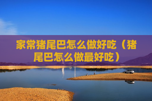 家常猪尾巴怎么做好吃（猪尾巴怎么做最好吃）