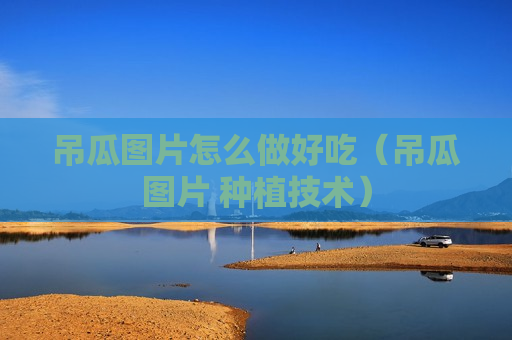 吊瓜图片怎么做好吃（吊瓜图片 种植技术）