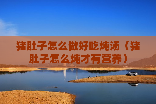 猪肚子怎么做好吃炖汤（猪肚子怎么炖才有营养）