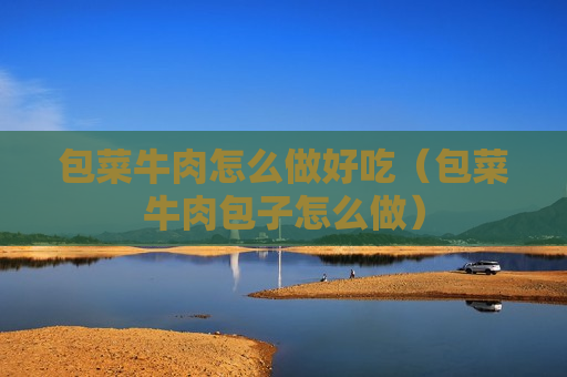 包菜牛肉怎么做好吃（包菜牛肉包子怎么做）