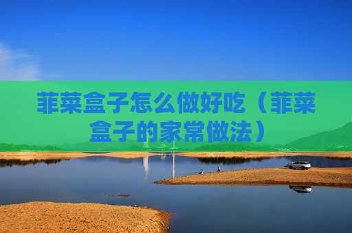 菲菜盒子怎么做好吃（菲菜盒子的家常做法）
