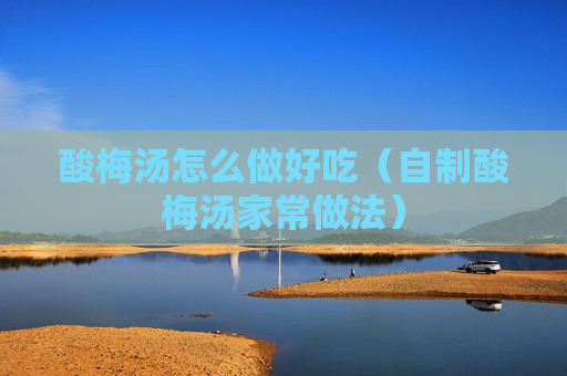 酸梅汤怎么做好吃（自制酸梅汤家常做法）