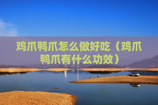 鸡爪鸭爪怎么做好吃（鸡爪鸭爪有什么功效）