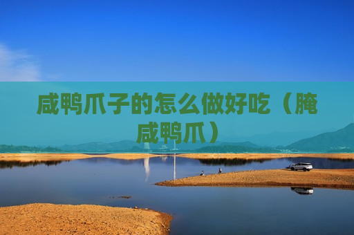 咸鸭爪子的怎么做好吃（腌咸鸭爪）
