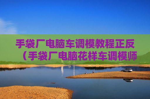 手袋厂电脑车调模教程正反（手袋厂电脑花样车调模师傅）