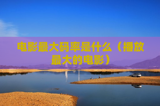 电影最大码率是什么（播放最大的电影）