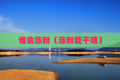 谁会涨粉（涨粉能干啥）