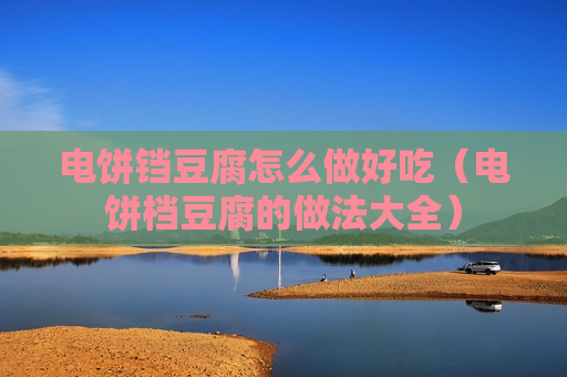 电饼铛豆腐怎么做好吃（电饼档豆腐的做法大全）