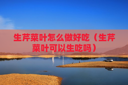 生芹菜叶怎么做好吃（生芹菜叶可以生吃吗）