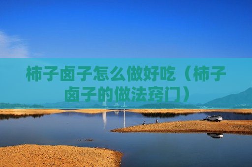 柿子卤子怎么做好吃（柿子卤子的做法窍门）
