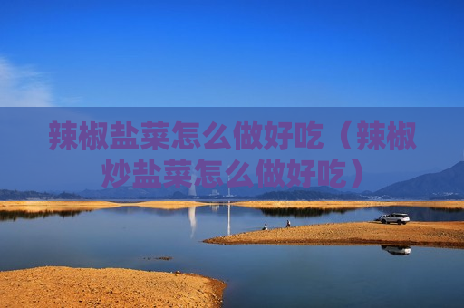辣椒盐菜怎么做好吃（辣椒炒盐菜怎么做好吃）