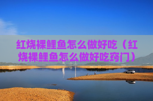 红烧裸鲤鱼怎么做好吃（红烧裸鲤鱼怎么做好吃窍门）