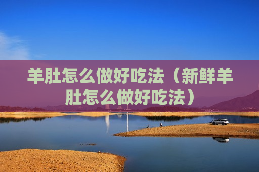 羊肚怎么做好吃法（新鲜羊肚怎么做好吃法）