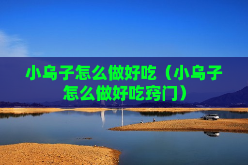 小乌子怎么做好吃（小乌子怎么做好吃窍门）
