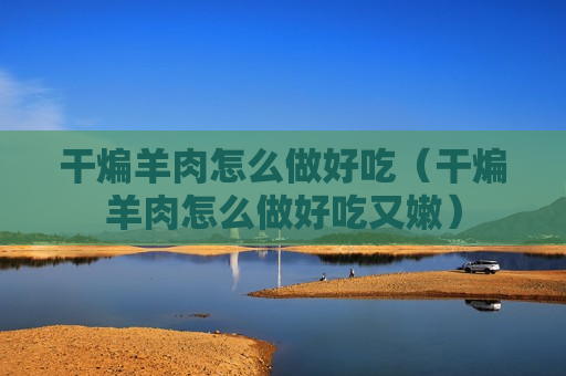 干煸羊肉怎么做好吃（干煸羊肉怎么做好吃又嫩）