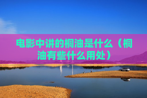 电影中讲的桐油是什么（桐油有些什么用处）