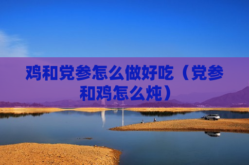 鸡和党参怎么做好吃（党参和鸡怎么炖）
