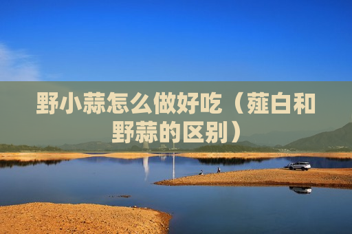 野小蒜怎么做好吃（薤白和野蒜的区别）