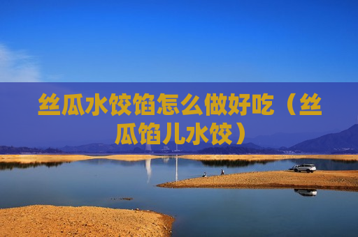 丝瓜水饺馅怎么做好吃（丝瓜馅儿水饺）
