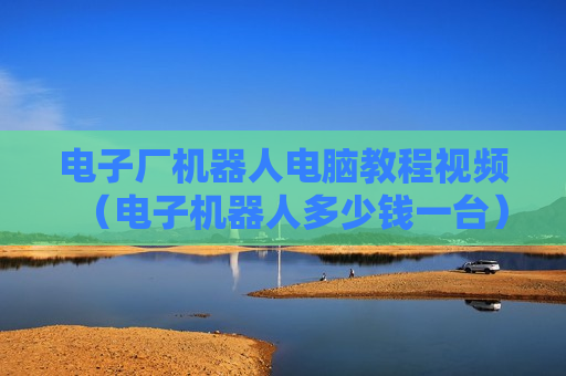 电子厂机器人电脑教程视频（电子机器人多少钱一台）