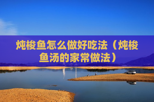 炖梭鱼怎么做好吃法（炖梭鱼汤的家常做法）
