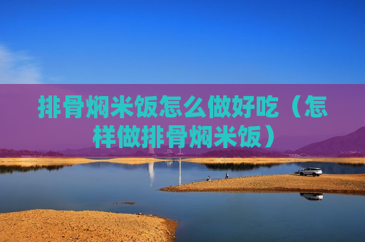 排骨焖米饭怎么做好吃（怎样做排骨焖米饭）