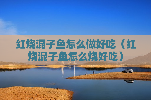 红烧混子鱼怎么做好吃（红烧混子鱼怎么烧好吃）