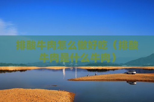 排酸牛肉怎么做好吃（排酸牛肉是什么牛肉）