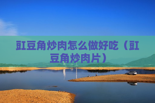 豇豆角炒肉怎么做好吃（豇豆角炒肉片）