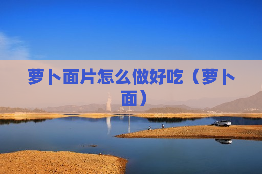 萝卜面片怎么做好吃（萝卜 面）