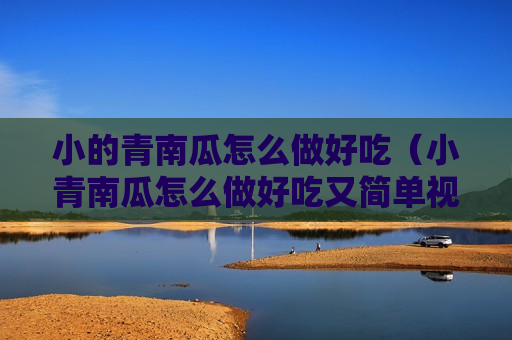 小的青南瓜怎么做好吃（小青南瓜怎么做好吃又简单视频）