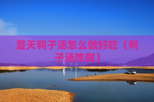 夏天鸭子汤怎么做好吃（鸭子汤咋做）