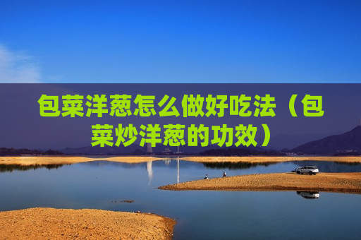 包菜洋葱怎么做好吃法（包菜炒洋葱的功效）
