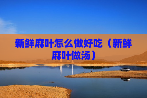 新鲜麻叶怎么做好吃（新鲜麻叶做汤）