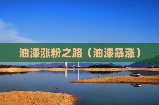 油漆涨粉之路（油漆暴涨）