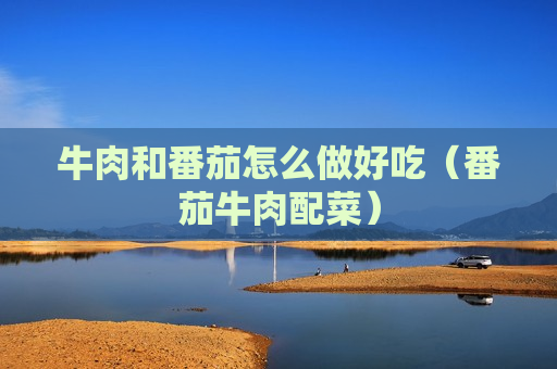 牛肉和番茄怎么做好吃（番茄牛肉配菜）