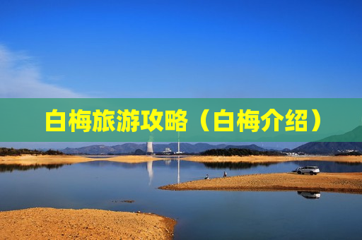 白梅旅游攻略（白梅介绍）