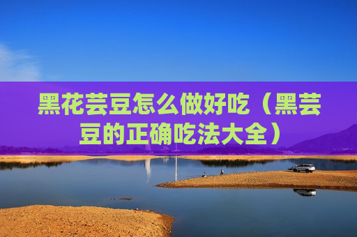 黑花芸豆怎么做好吃（黑芸豆的正确吃法大全）
