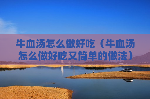 牛血汤怎么做好吃（牛血汤怎么做好吃又简单的做法）