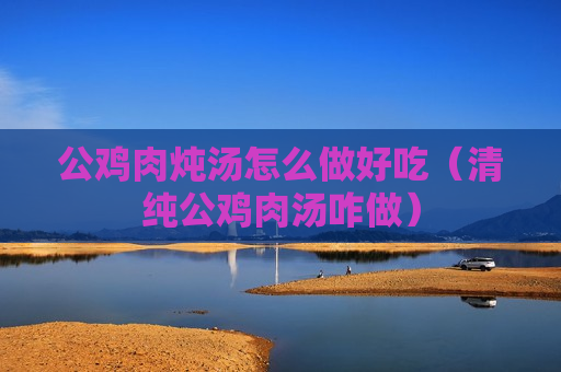 公鸡肉炖汤怎么做好吃（清纯公鸡肉汤咋做）