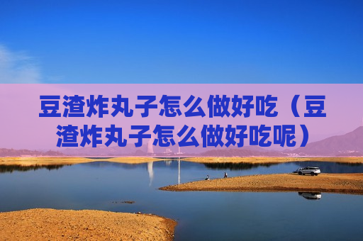 豆渣炸丸子怎么做好吃（豆渣炸丸子怎么做好吃呢）
