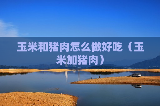 玉米和猪肉怎么做好吃（玉米加猪肉）