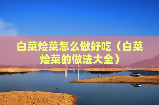 白菜烩菜怎么做好吃（白菜烩菜的做法大全）