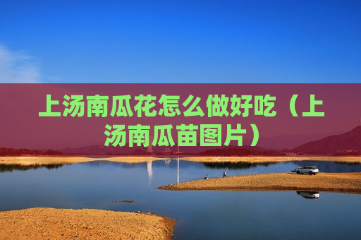 上汤南瓜花怎么做好吃（上汤南瓜苗图片）