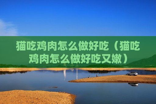 猫吃鸡肉怎么做好吃（猫吃鸡肉怎么做好吃又嫩）