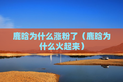 鹿晗为什么涨粉了（鹿晗为什么火起来）