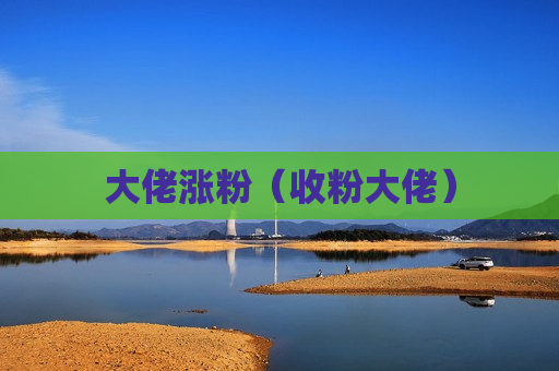 大佬涨粉（收粉大佬）