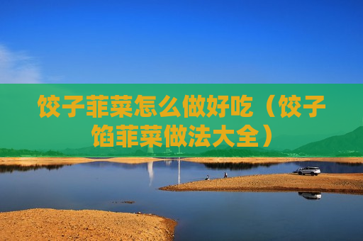 饺子菲菜怎么做好吃（饺子馅菲菜做法大全）