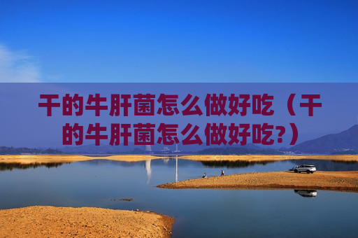 干的牛肝菌怎么做好吃（干的牛肝菌怎么做好吃?）