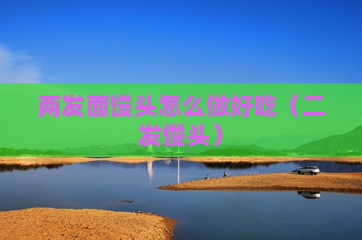 两发面馒头怎么做好吃（二发馒头）